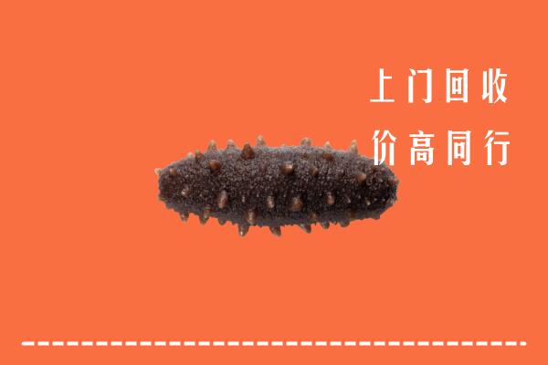 赫章县高价回收海参