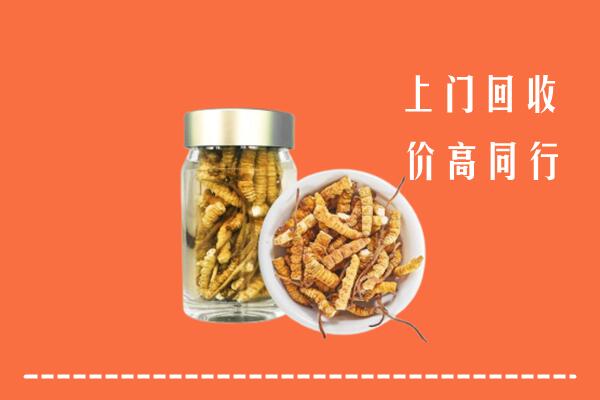 赫章县回收冬虫夏草